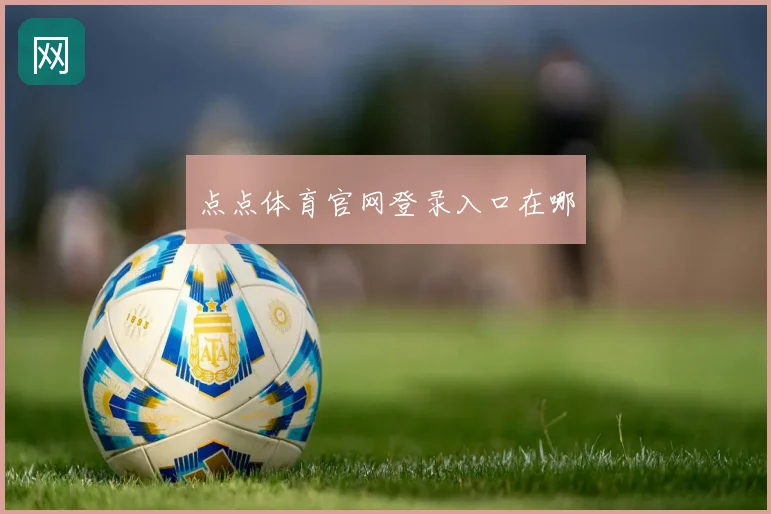 点点体育官网登录入口在哪